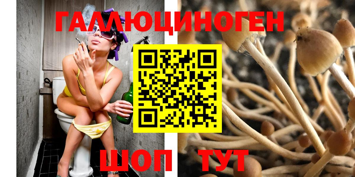 Галлюциногенные грибы Psilocybine cubensis Жуковский