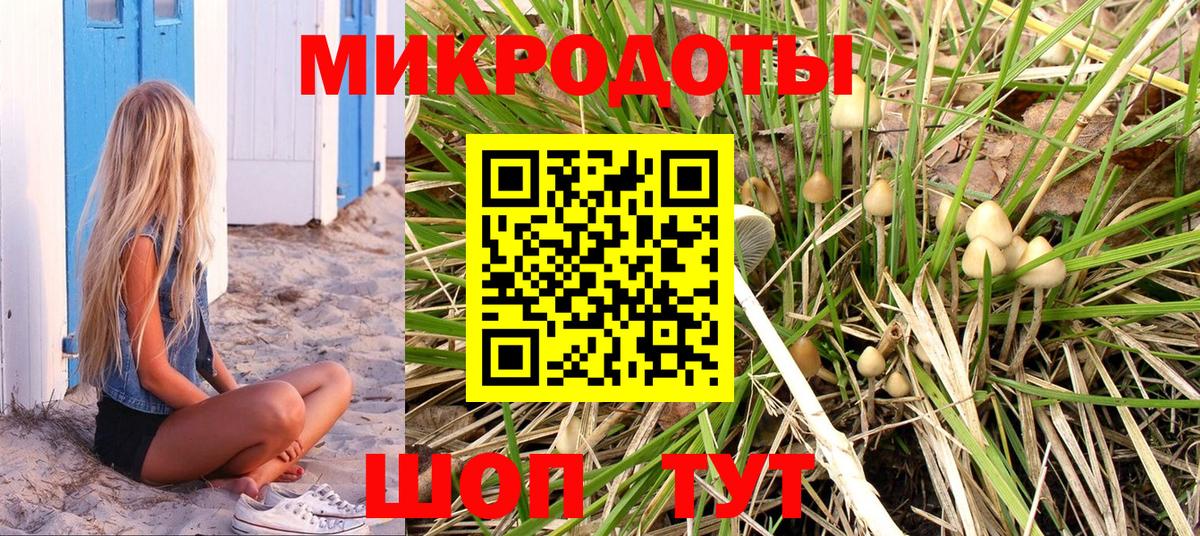 Жуковский  Галлюциногенные грибы Cubensis  Вход с VPN 